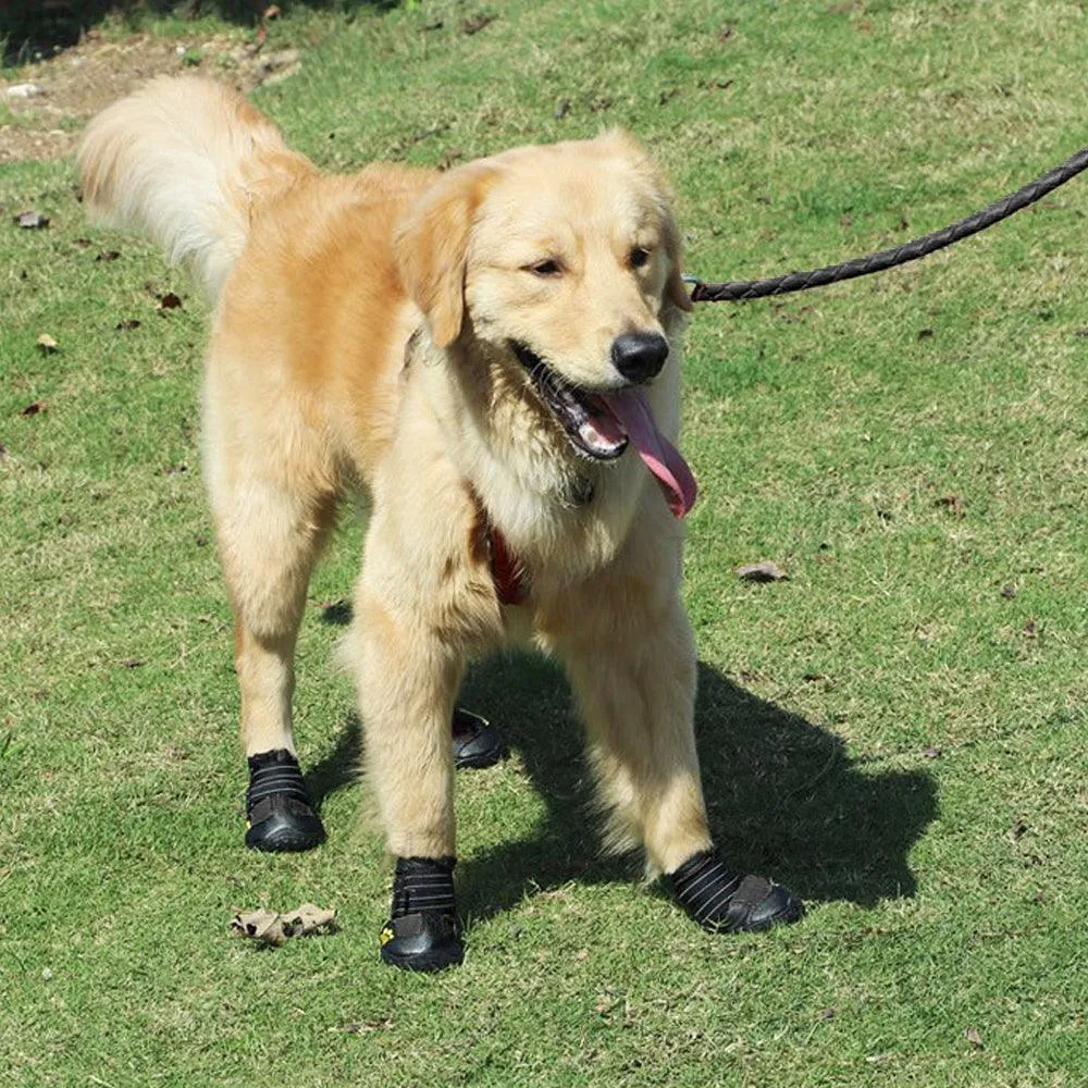 Non Slip Anti Skid Shoes for Dogs