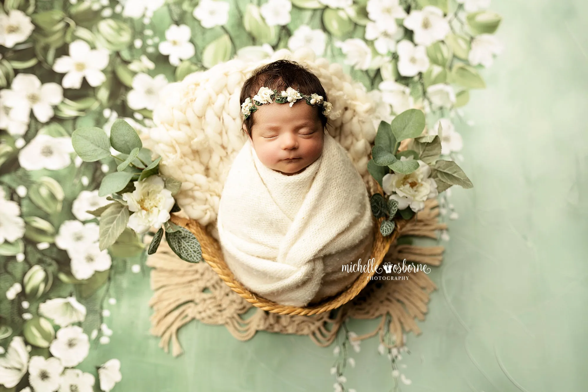 Painted Gardenia  - Petite